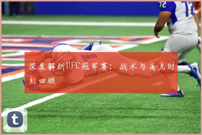 深度解析UFC冠军赛:战术与高光时刻回顾