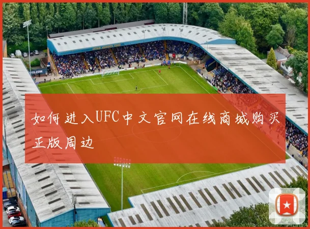 如何进入UFC中文官网在线商城购买正版周边